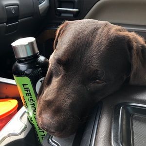 Meet your Posher, Chance